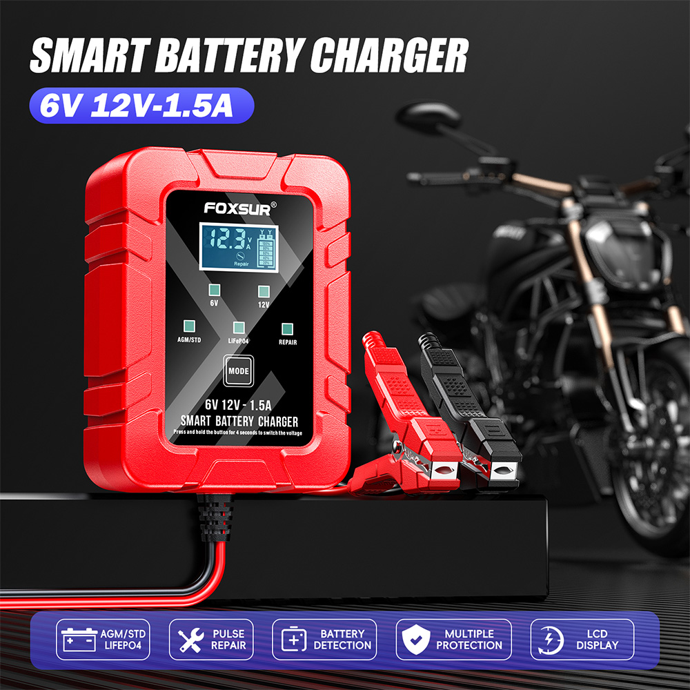 Lifepo4 Battery Charger Smart Automatic - FOXSUR 6V 12V Automatische Smart Druppellader