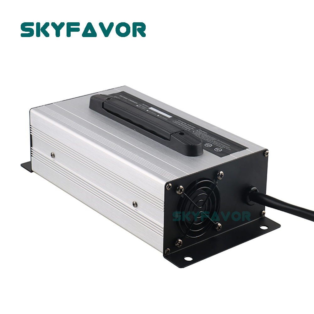 Custom Professionele 12 V Accu - Lifepo4 Battery Charger Smart Automatic recensie en prijs