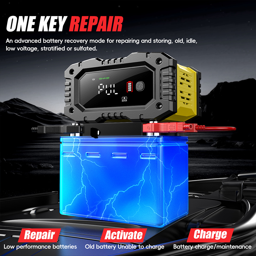 FOXSUR 12V 24V Auto Motor Vrac - Lifepo4 Battery Charger Smart Automatic recensie en prijs