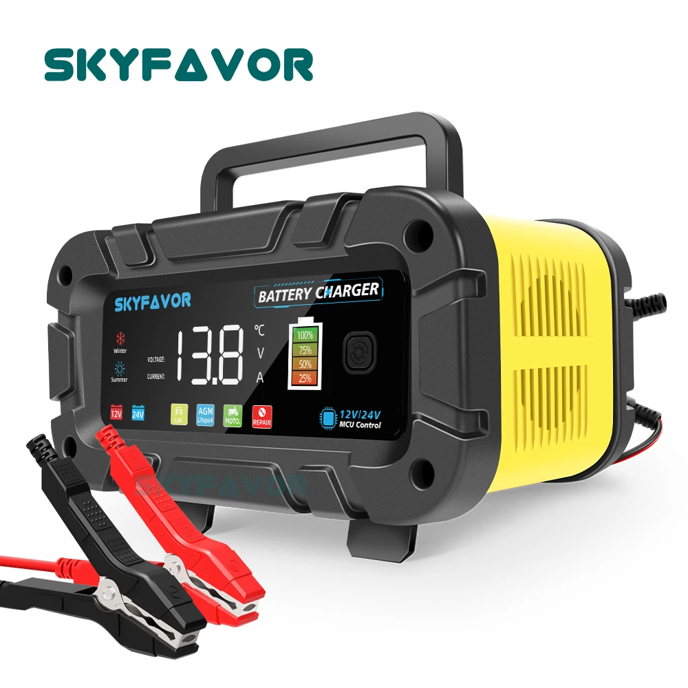 Automatische slimme 12V 24V ac - Lifepo4 Battery Charger Smart Automatic recensie en prijs