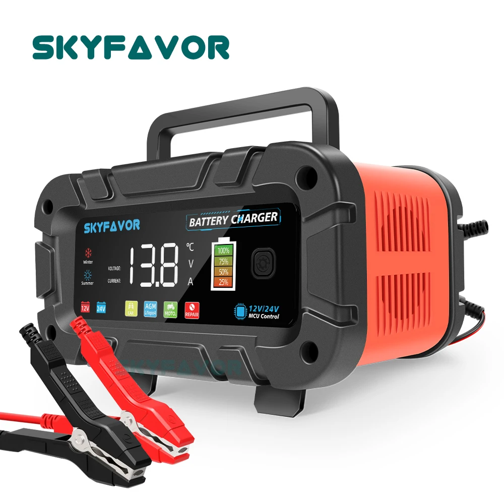 Automatische slimme 12V 24V ac - Lifepo4 Battery Charger Smart Automatic recensie en prijs