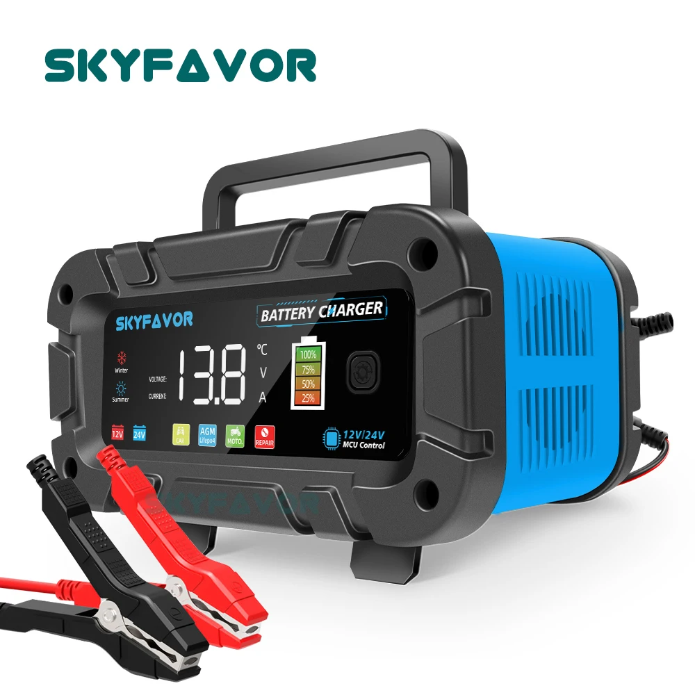 Automatische slimme 12V 24V ac - Lifepo4 Battery Charger Smart Automatic recensie en prijs
