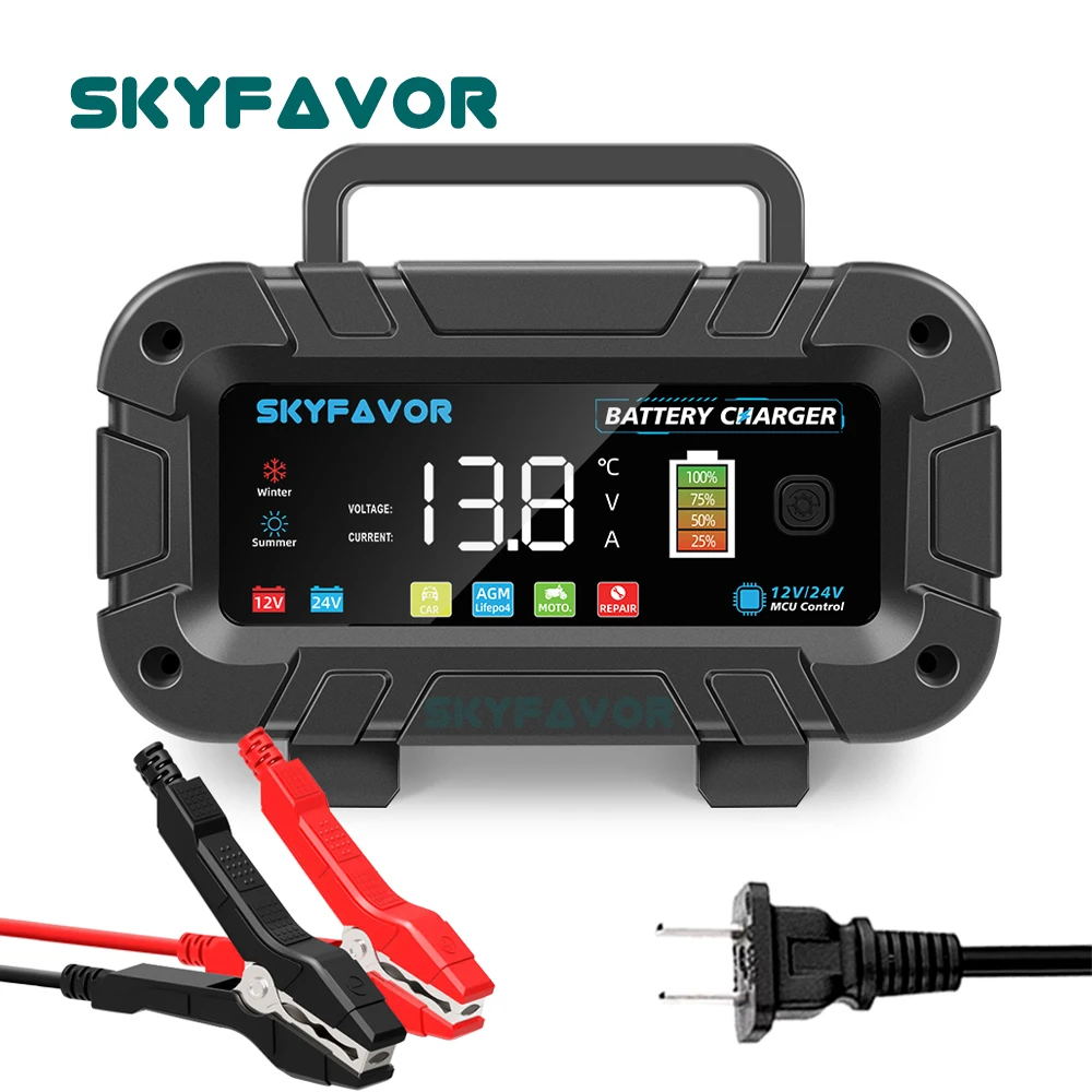 Automatische slimme 12V 24V ac - Lifepo4 Battery Charger Smart Automatic recensie en prijs