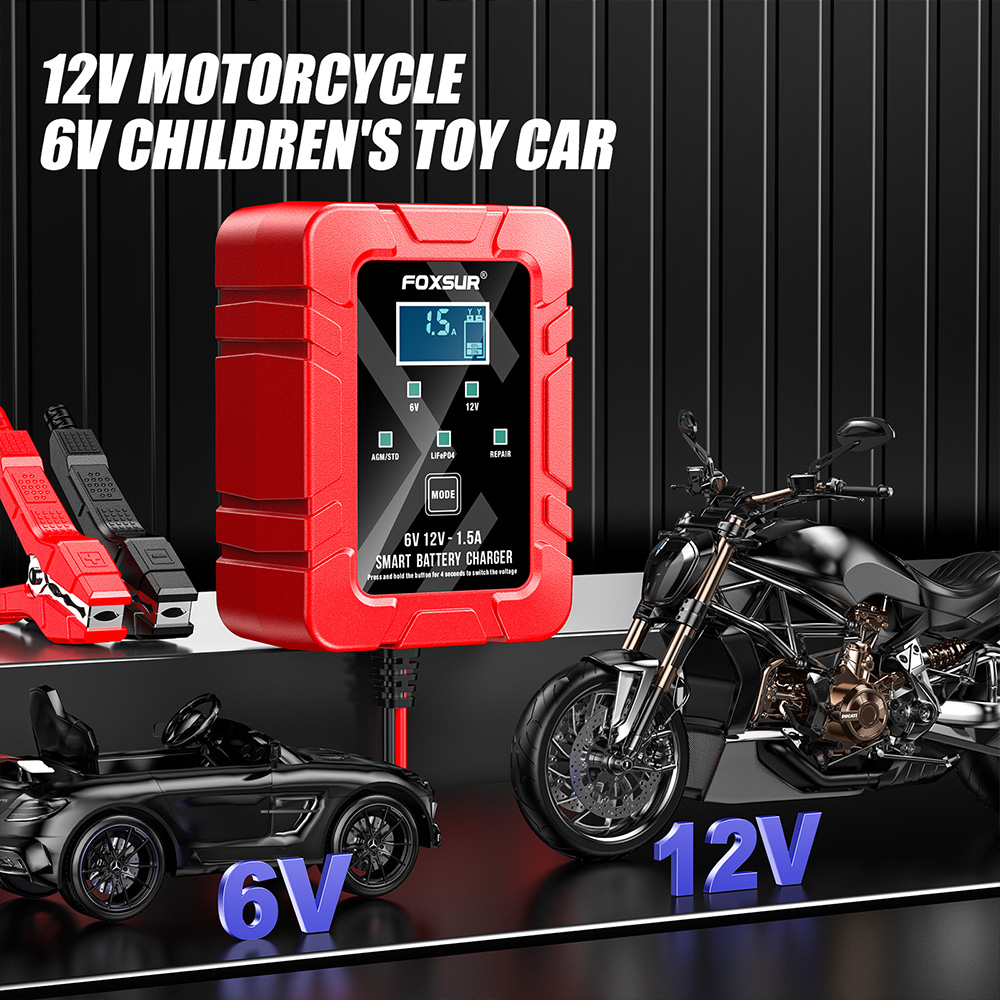 FOXSUR 6V 12V Automatische Sma - Lifepo4 Battery Charger Smart Automatic recensie en prijs