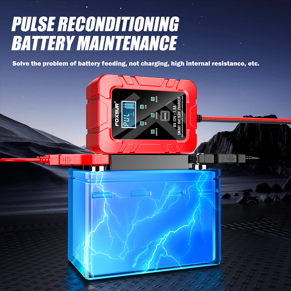 FOXSUR 6V 12V Automatische Sma - Lifepo4 Battery Charger Smart Automatic recensie en prijs