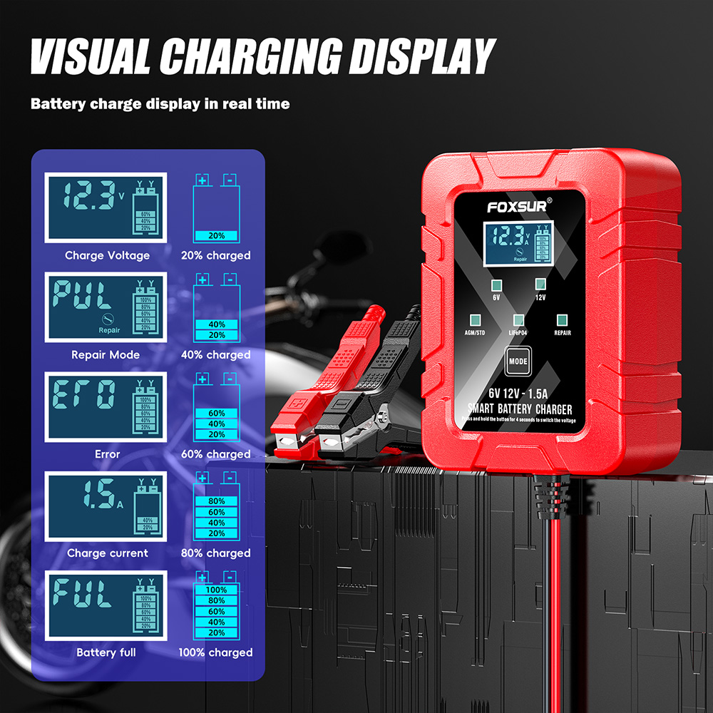 FOXSUR 6V 12V Automatische Sma - Lifepo4 Battery Charger Smart Automatic recensie en prijs