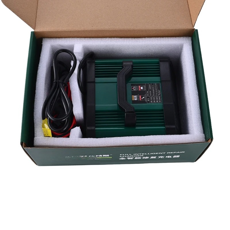 12V/24V Volledig Automatische  - Lifepo4 Battery Charger Smart Automatic recensie en prijs