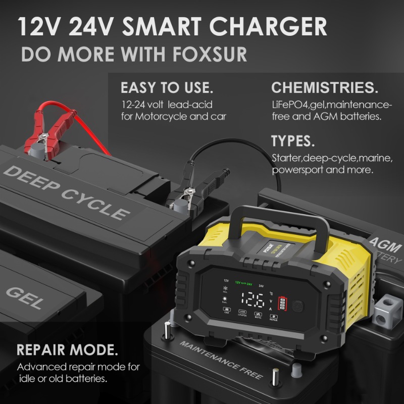 Foxsur Auto Motorfiets Acculad - Smart Car Battery Charger 12V 24V 20A recensie en prijs