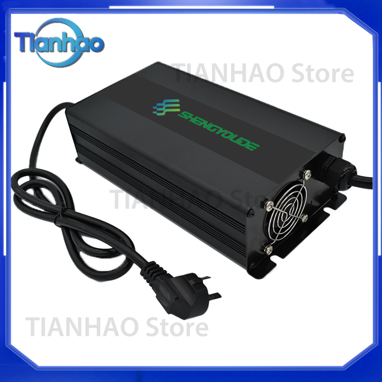 Automatische slimme 2000W batt - Lifepo4 Battery Charger Smart Automatic recensie en prijs