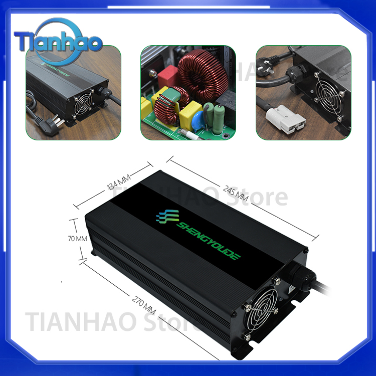 Automatische slimme 2000W batt - Lifepo4 Battery Charger Smart Automatic recensie en prijs