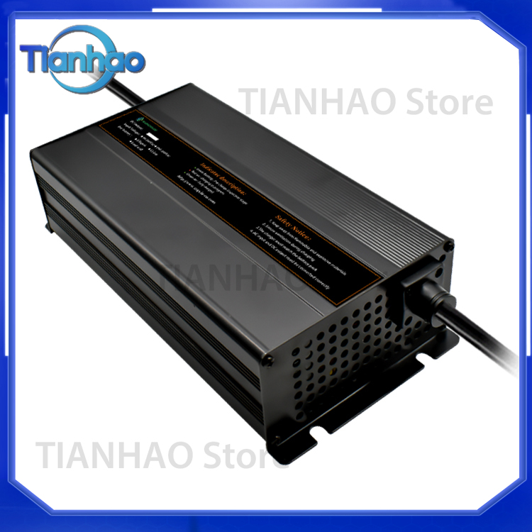 Automatische slimme 2000W batt - Lifepo4 Battery Charger Smart Automatic recensie en prijs